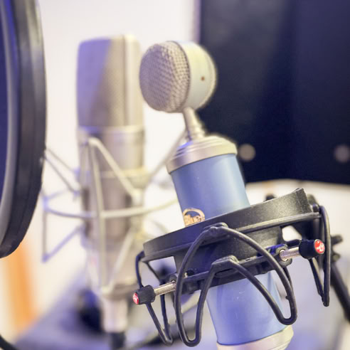 Mikrofon, Vocalrecording, Musikstudio Kathrin Dietz, Leopold Hartzsch